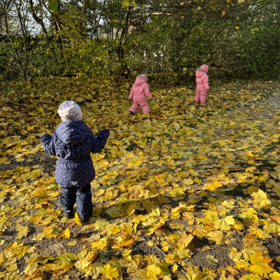 ... durch Blätter rascheln
