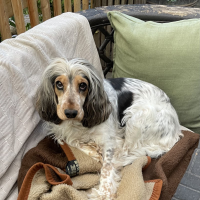 Ella