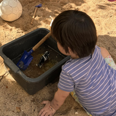 ... mit Wasser experimentieren